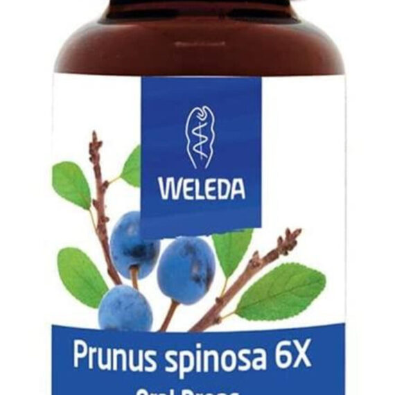 WELEDA-prunus-spinosa-6X-25ml-1-1.jpeg